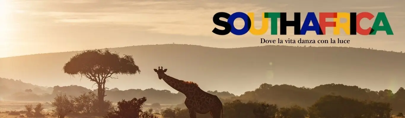 Copia di Offerte Slider_AI